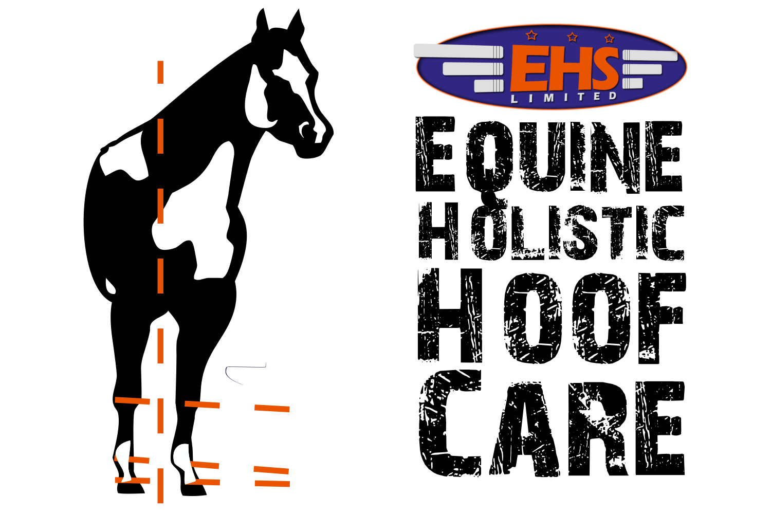 European Horse Service Ltd