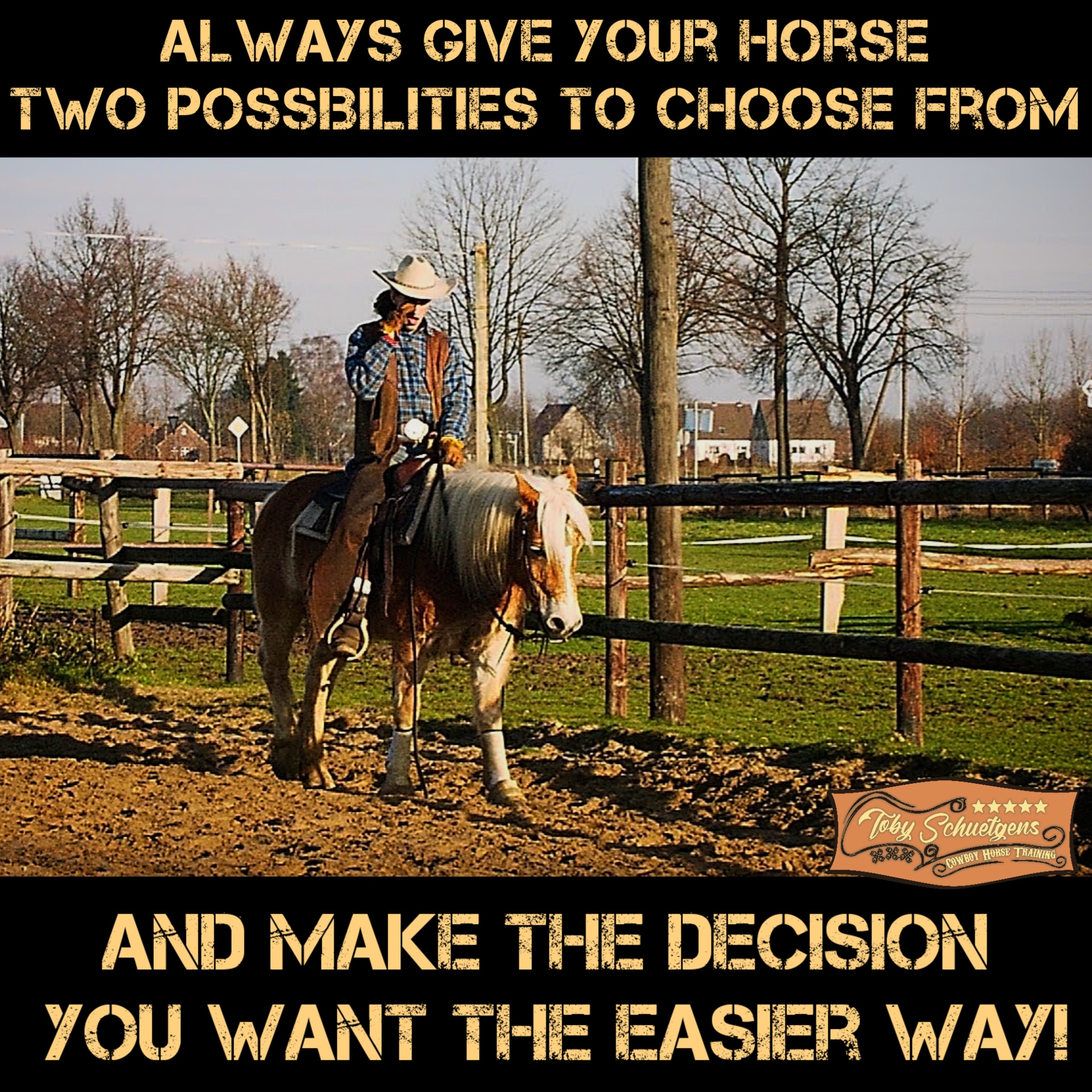 Lass dein Pferd wählen!